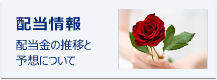 配当情報