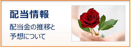 配当情報