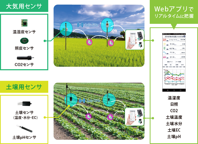 IoT 農業での活用例