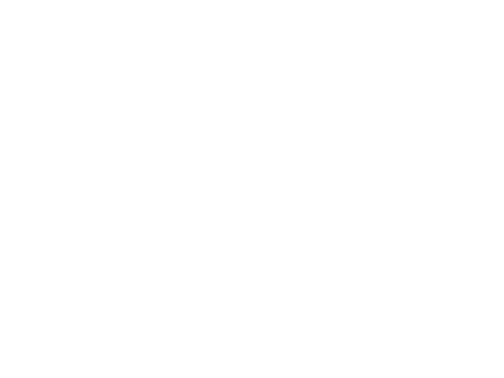 キャリアパス